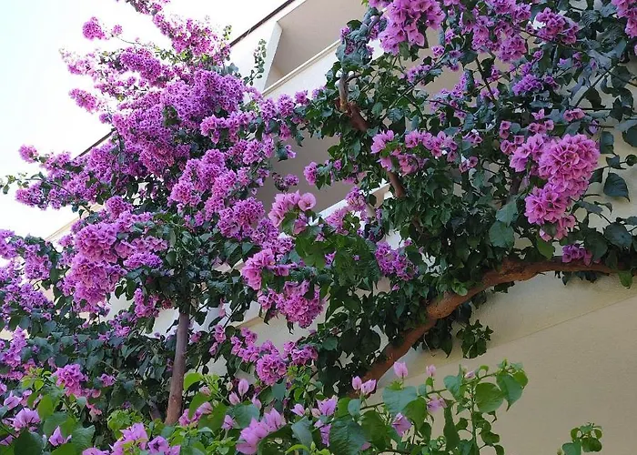 Apartament Cizmic Baška Voda