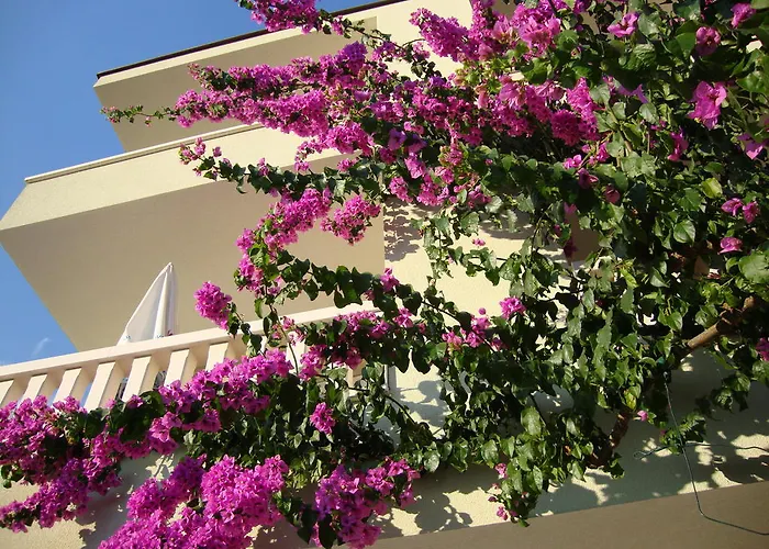 Apartamento Cizmic *