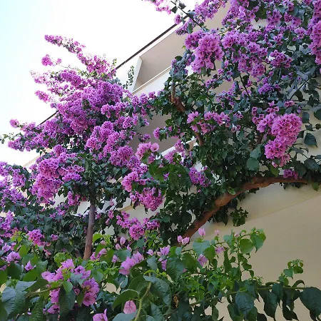 Apartment Cizmic Baska Voda