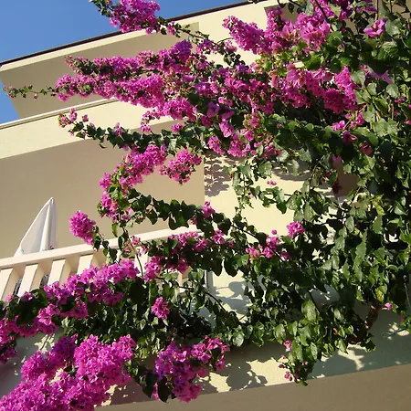 Apartment Cizmic *